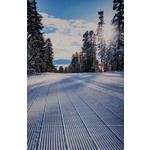 Blake Kessler "Northstar Groomer" - 8x12" metal print