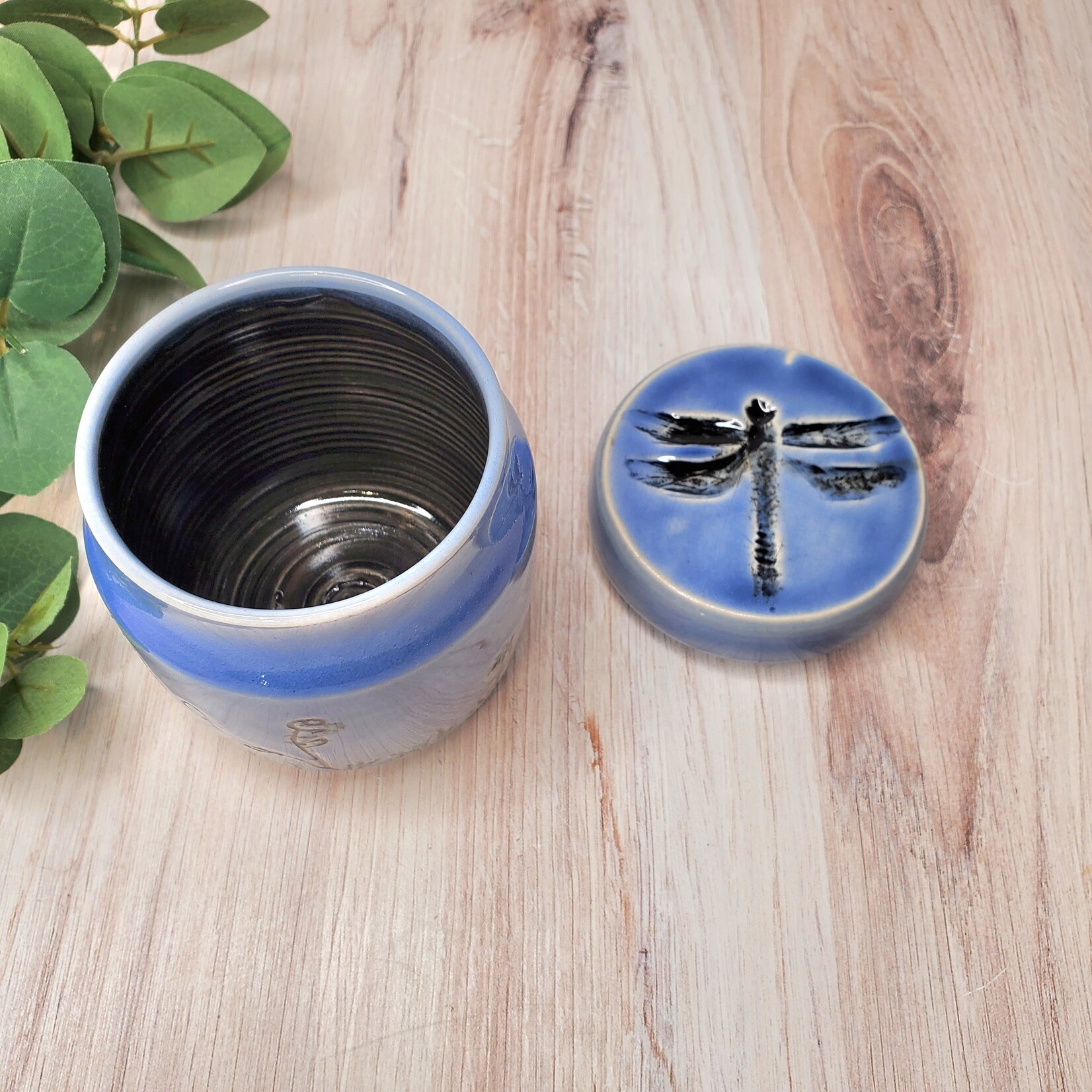 Elaine Randall "Dragonfly Dreams" - Small Dream Jar