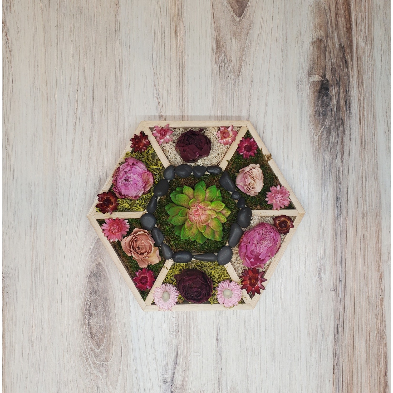 "Hexagon View" - dried flower artwork