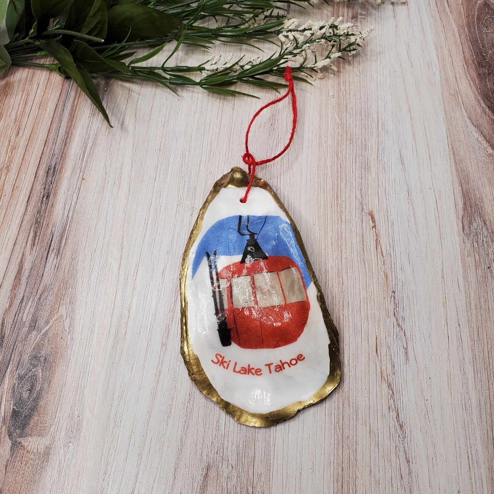 Sue Pemberton Oyster Shell Ski Ornament - Larges -